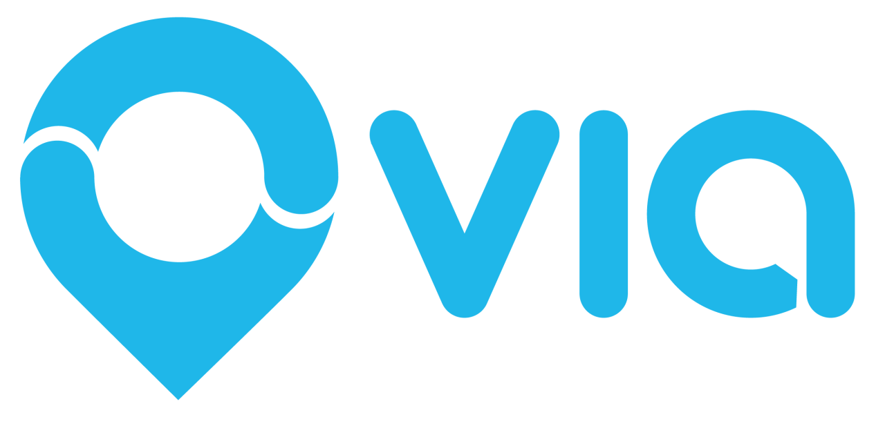 Via Logo Blue Horizontal